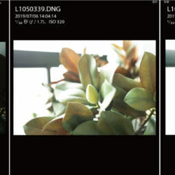 lightroom - screen shot