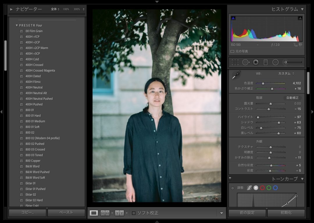 Presetr Lightroom presets 400H Neutral Pushed 使い方 かすみの除去