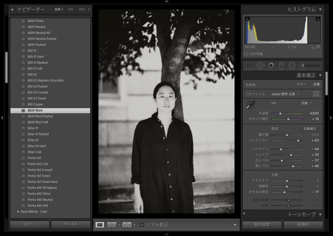 Presetr Lightroom presets B&W Ilford 使い方 モノクロ ポートレート