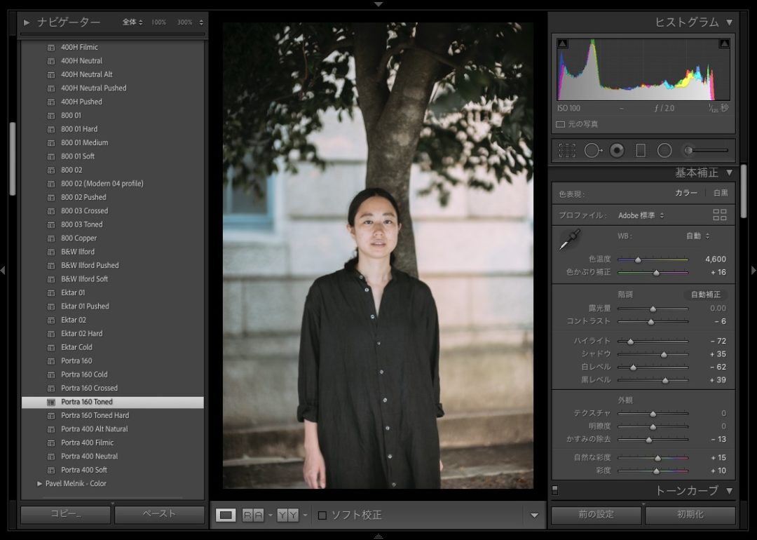 Presetr Lightroom presets PORTRA160 Toned 使い方 WB