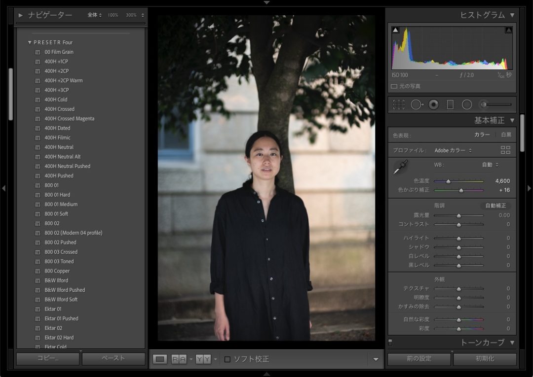 トーンを作る Lightroom現像 With Presetr Four Fotone フォトン カメラ レンズのレビューと写真 Fotone フォトン カメラ レンズのレビューと写真