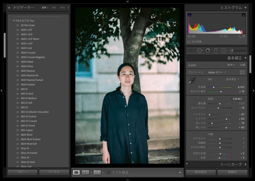 Presetr Lightroom presets 400H Neutral Pushed 使い方