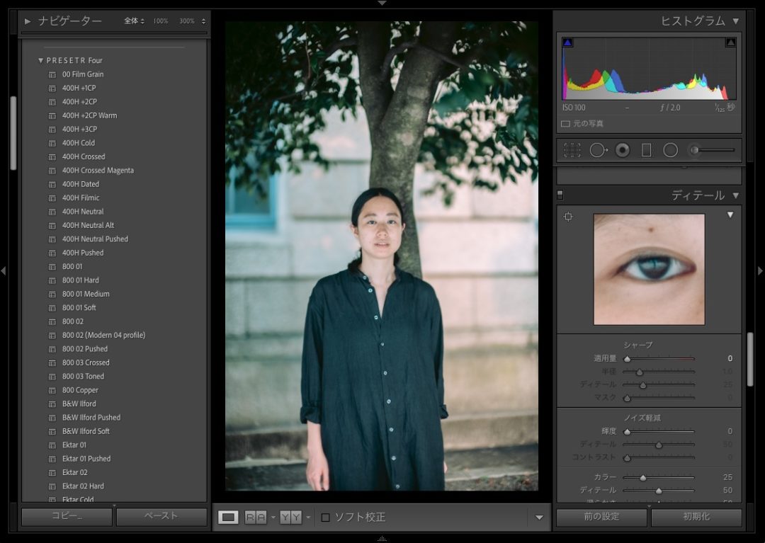 Presetr Lightroom presets 400H Neutral Pushed 使い方 シャープ