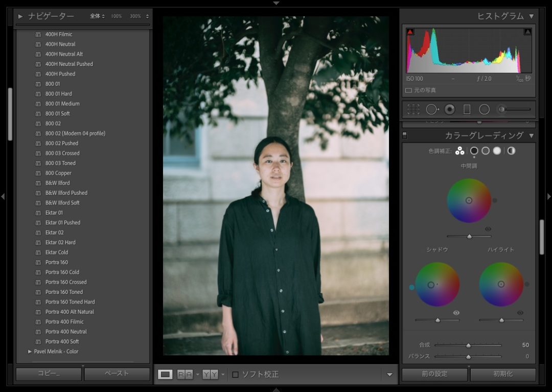 Presetr Lightroom presets PORTRA160 Toned 使い方 シャドー
