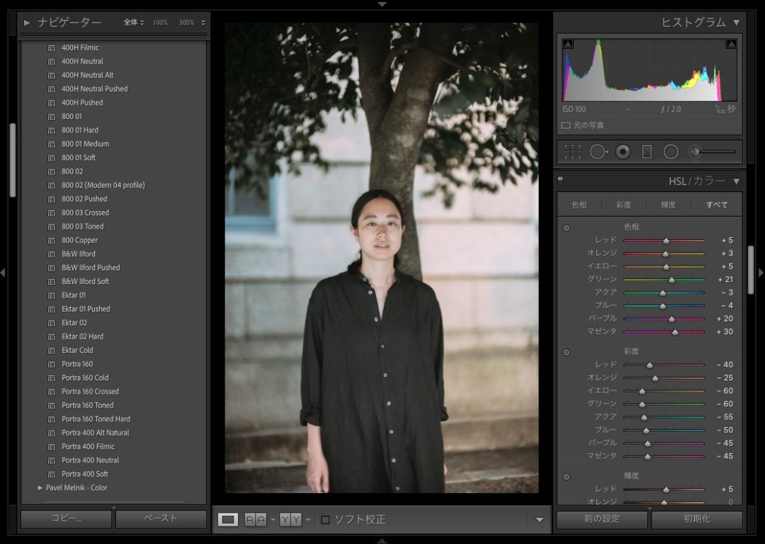 Presetr Lightroom presets PORTRA160 Toned 使い方 肌色 ポートレート