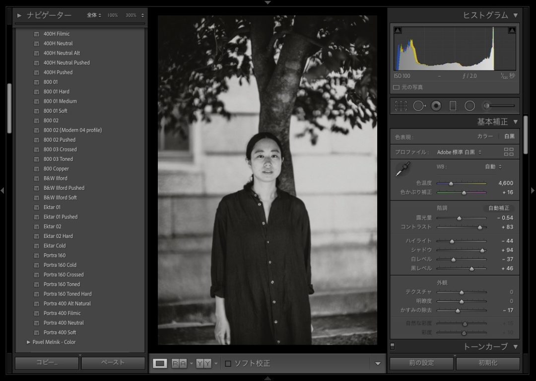 Presetr Lightroom presets B&W Ilford 使い方 モノクロ ポートレート 露出