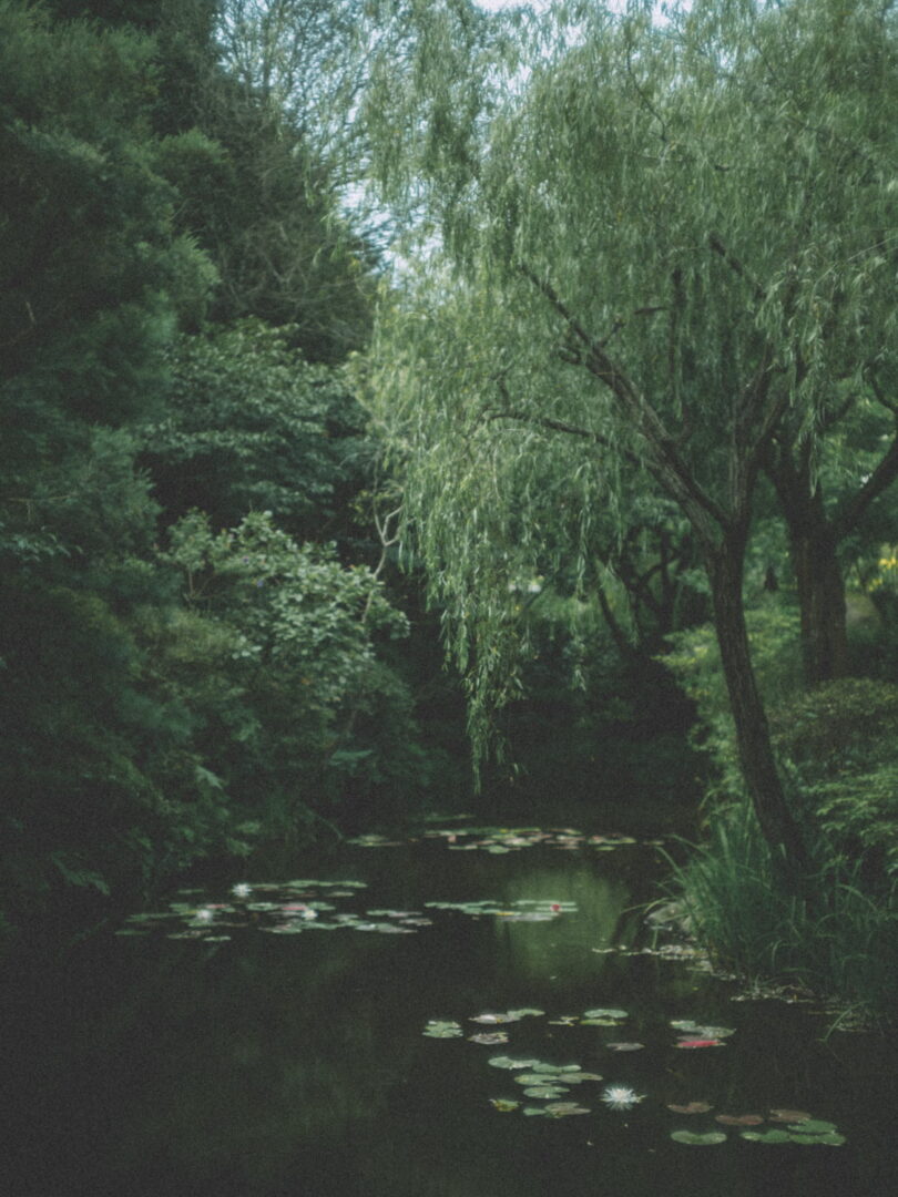 HELIAR classic 50mm f1.5 VM review 作例 レビュー 実写 直島 瀬戸内 風景 snap スナップ 地中の庭 Claude Monet landscape Naoshima