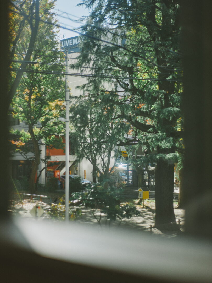 CONTAX Planar 50mm f1.4 snap review レビュー sendai 仙台 landscape