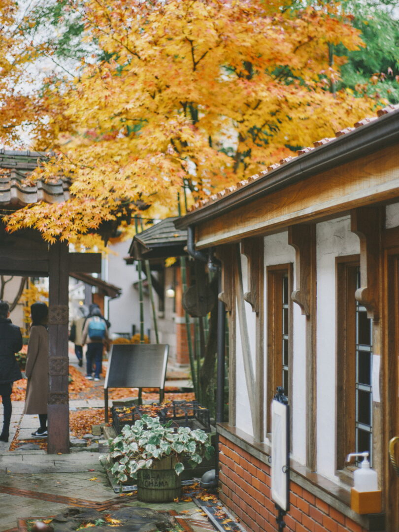 CONTAX Planar 50mm f1.4 snap review レビュー morioka 盛岡 landscape kogensha 光原社