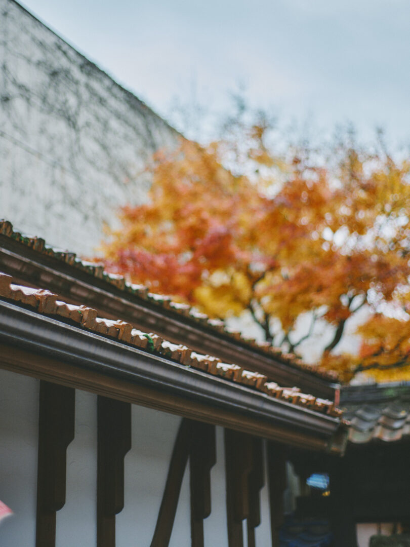 CONTAX Planar 50mm f1.4 snap review レビュー morioka 盛岡 landscape kogensha 光原社