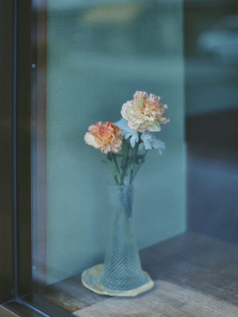 CONTAX Planar 50mm f1.4 snap review レビュー morioka 盛岡