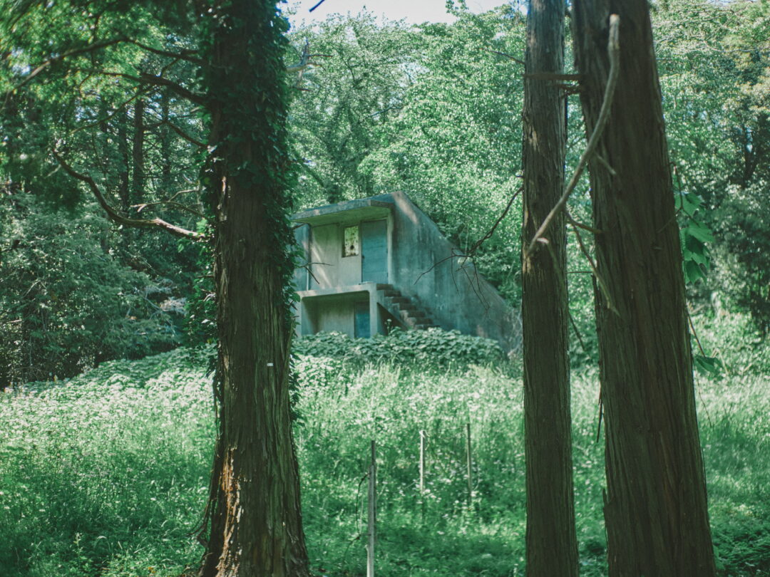 CONTAX Distagon 35mm f1.4 snap スナップ review 国立天文台 naoj mitaka 三鷹 landscape