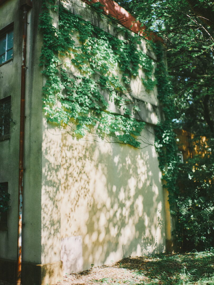 CONTAX Distagon 35mm f1.4 snap スナップ review 国立天文台 naoj mitaka 三鷹 landscape